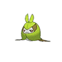 Swadloon shiny