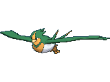 Swellow shiny