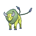Tauros shiny