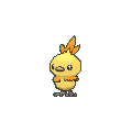 Torchic shiny