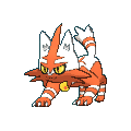 Torracat shiny