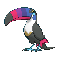 Toucannon shiny