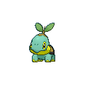 Turtwig shiny
