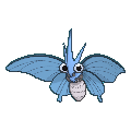 Venomoth shiny