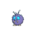 Venonat shiny