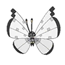 Vivillon