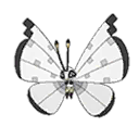 Vivillon shiny