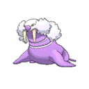 Walrein shiny