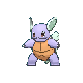 Wartortle shiny