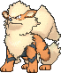 Arcanine