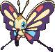 Beautifly shiny