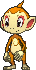 Chimchar