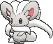 Cinccino