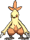 Combusken shiny