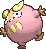 Darumaka shiny