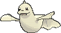 Dewgong shiny