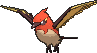 Fletchinder shiny