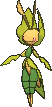 Leavanny shiny