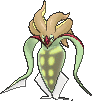 Malamar shiny