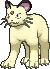 Persian shiny