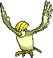 Pidgeotto shiny