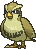 Pidgey shiny