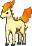 Ponyta