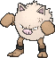 Primeape