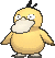 Psyduck