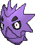 Pupitar shiny