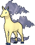 Rapidash shiny