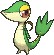 Snivy