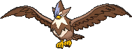 Staraptor shiny