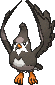 Staravia