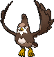 Staravia shiny