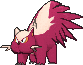 Stunky shiny