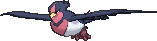 Swellow
