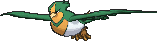 Swellow shiny