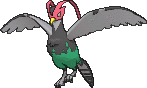 Unfezant
