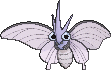 Venomoth