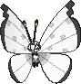 Vivillon shiny